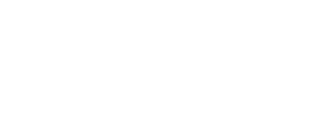 BVBS